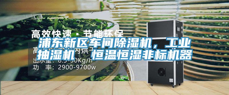 浦東新區(qū)車間除濕機(jī)，工業(yè)抽濕機(jī)  恒溫恒濕非標(biāo)機(jī)器