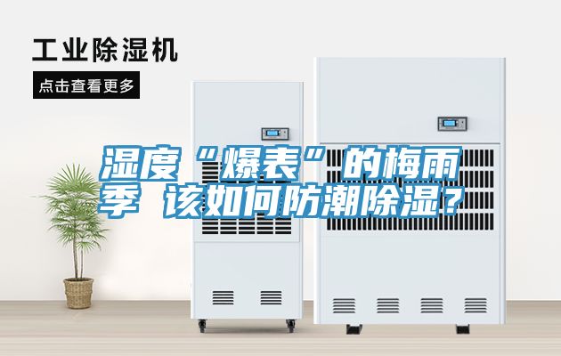 濕度“爆表”的梅雨季 該如何防潮除濕？