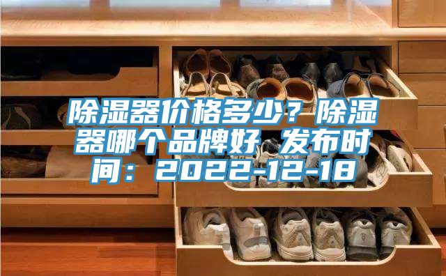 除濕器價格多少？除濕器哪個品牌好 發(fā)布時間：2022-12-18