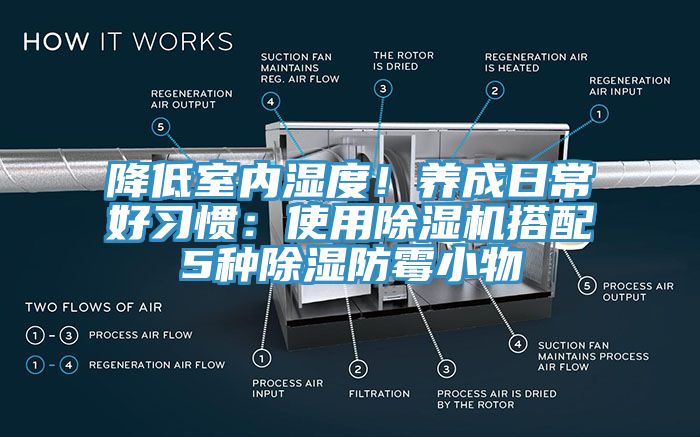 降低室內濕度！養(yǎng)成日常好習慣：使用除濕機搭配5種除濕防霉小物
