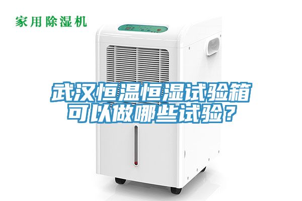 武漢恒溫恒濕試驗(yàn)箱可以做哪些試驗(yàn)？