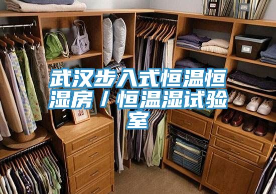 武漢步入式恒溫恒濕房／恒溫濕試驗室