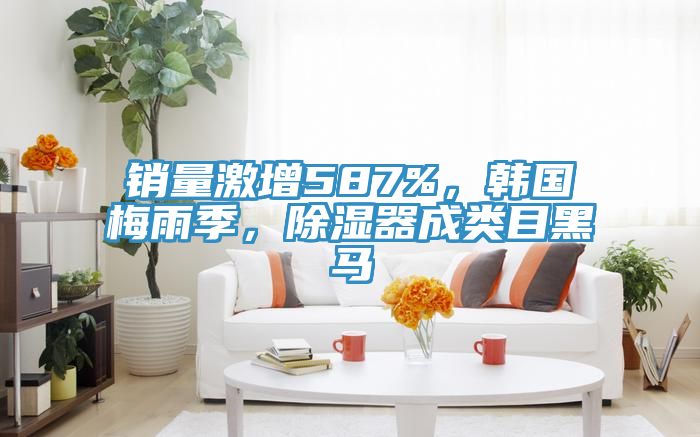 銷(xiāo)量激增587%，韓國(guó)梅雨季，除濕器成類(lèi)目黑馬