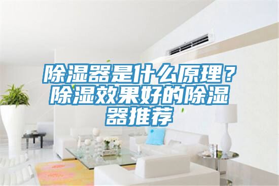 除濕器是什么原理？除濕效果好的除濕器推薦