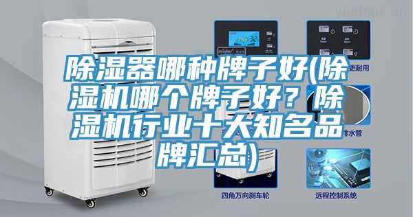 除濕器哪種牌子好(除濕機(jī)哪個(gè)牌子好？除濕機(jī)行業(yè)十大知名品牌匯總)