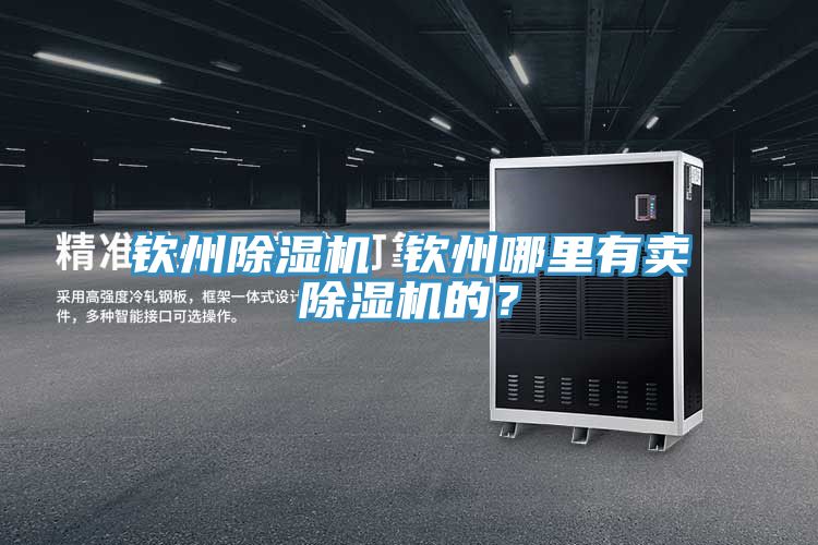 欽州除濕機(jī) 欽州哪里有賣除濕機(jī)的？