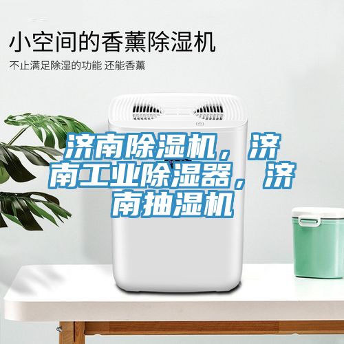 濟南除濕機，濟南工業(yè)除濕器，濟南抽濕機