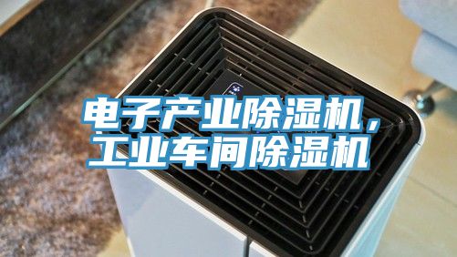 電子產(chǎn)業(yè)除濕機(jī)，工業(yè)車(chē)間除濕機(jī)