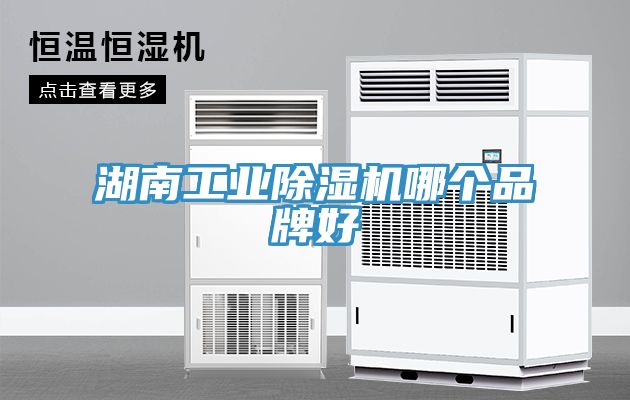 湖南工業(yè)除濕機哪個品牌好
