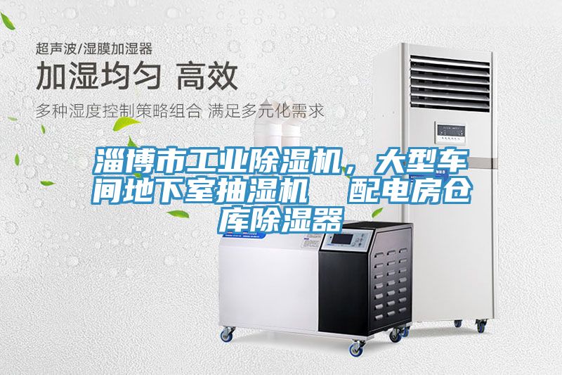淄博市工業(yè)除濕機，大型車間地下室抽濕機  配電房倉庫除濕器