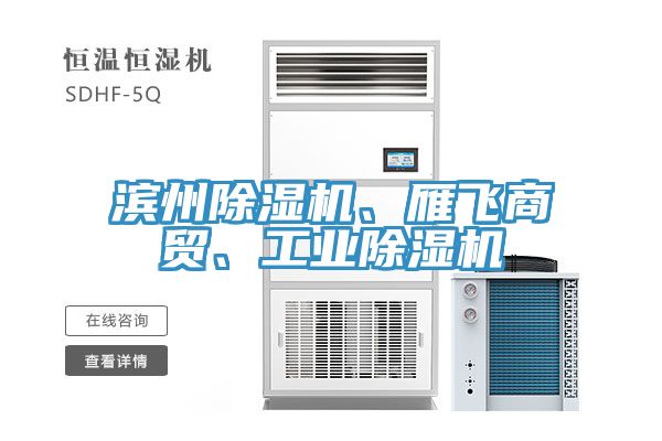 濱州除濕機、雁飛商貿(mào)、工業(yè)除濕機