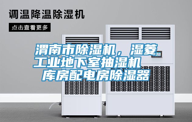 渭南市除濕機，濕菱工業(yè)地下室抽濕機  庫房配電房除濕器