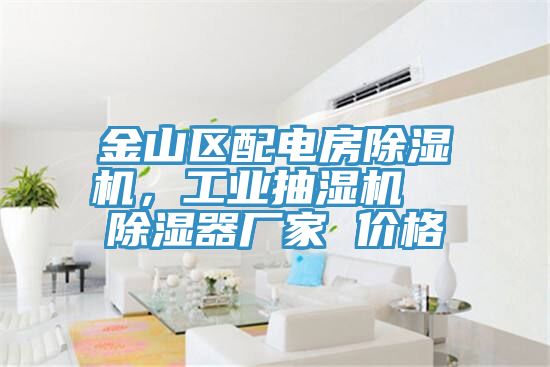 金山區(qū)配電房除濕機，工業(yè)抽濕機  除濕器廠家 價格