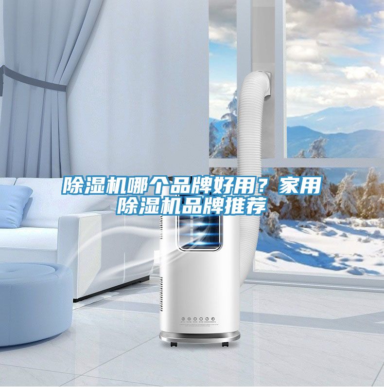 除濕機(jī)哪個(gè)品牌好用？家用除濕機(jī)品牌推薦