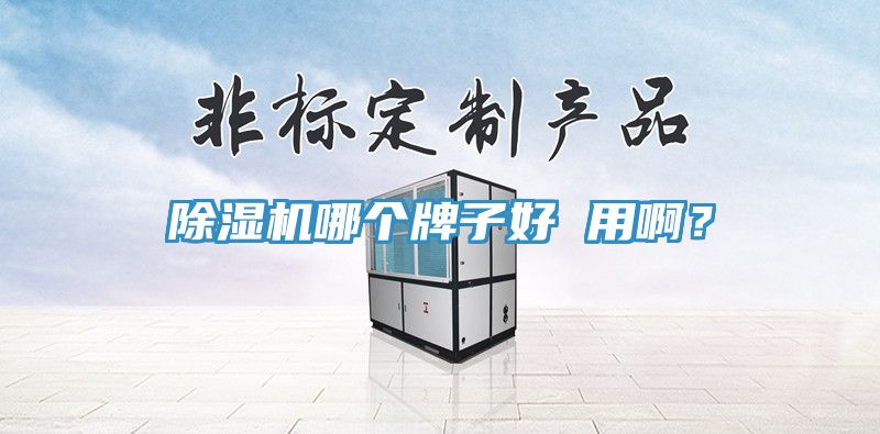 除濕機(jī)哪個(gè)牌子好 用啊？