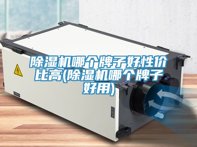 除濕機(jī)哪個(gè)牌子好性?xún)r(jià)比高(除濕機(jī)哪個(gè)牌子好用)