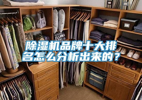 除濕機品牌十大排名怎么分析出來的？