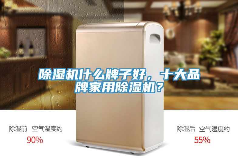 除濕機(jī)什么牌子好，十大品牌家用除濕機(jī)？