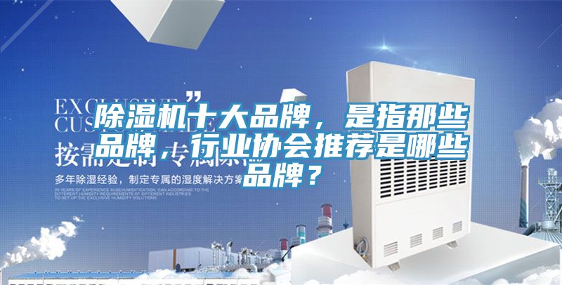 除濕機十大品牌，是指那些品牌，行業(yè)協(xié)會推薦是哪些品牌？
