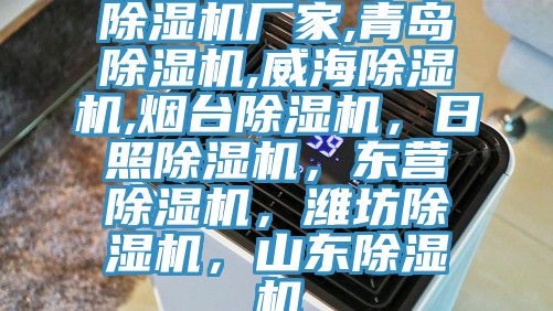 除濕機(jī)廠家,青島除濕機(jī),威海除濕機(jī),煙臺除濕機(jī)，日照除濕機(jī)，東營除濕機(jī)，濰坊除濕機(jī)，山東除濕機(jī)