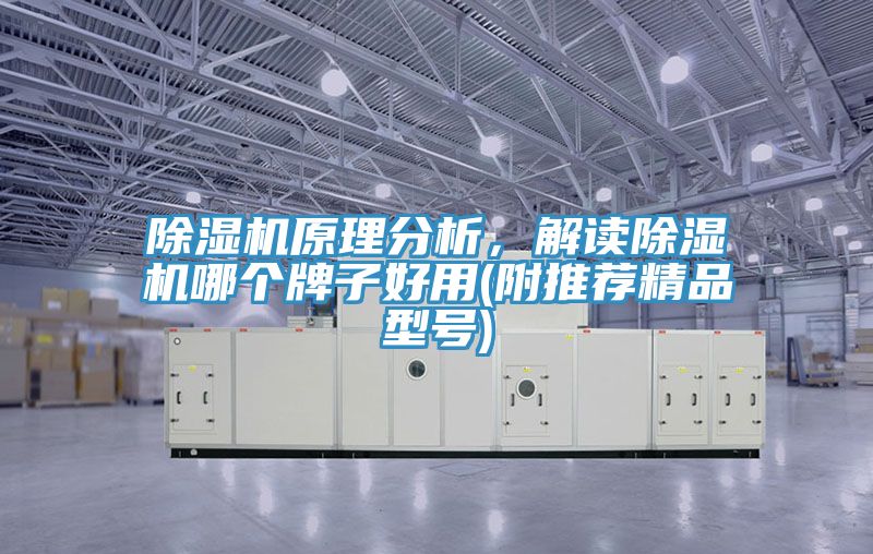除濕機原理分析，解讀除濕機哪個牌子好用(附推薦精品型號)
