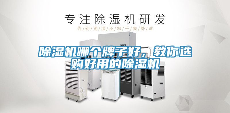 除濕機(jī)哪個(gè)牌子好，教你選購好用的除濕機(jī)