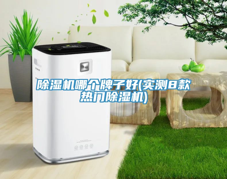 除濕機(jī)哪個(gè)牌子好(實(shí)測(cè)8款熱門(mén)除濕機(jī))