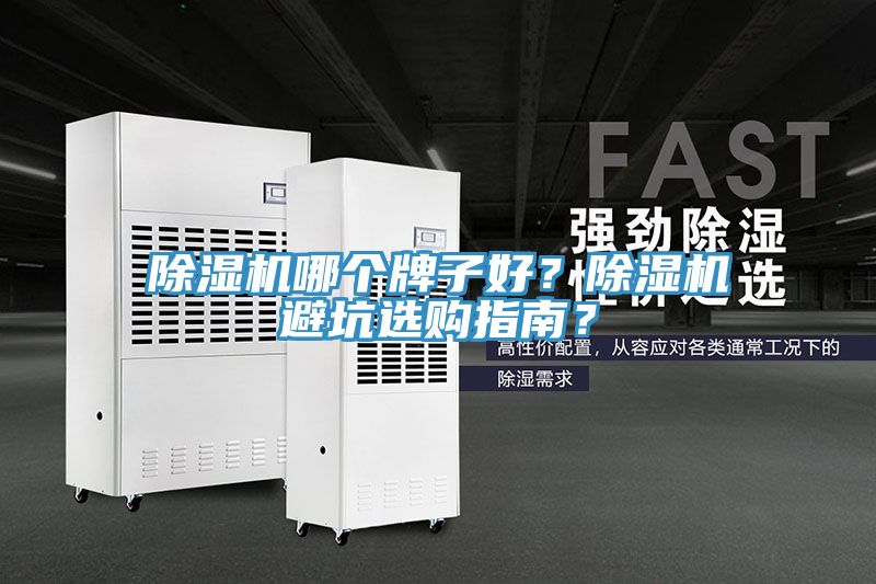 除濕機哪個牌子好？除濕機避坑選購指南？
