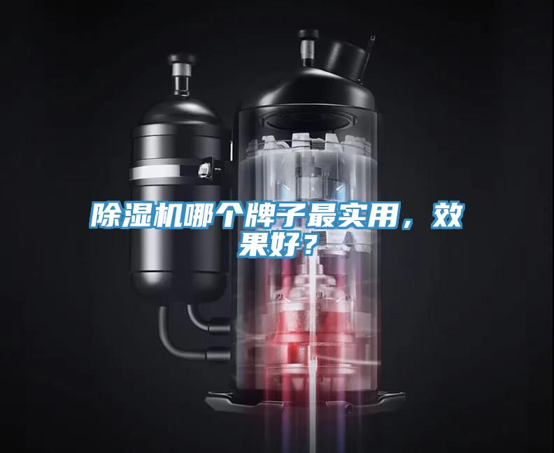除濕機哪個牌子最實用，效果好？