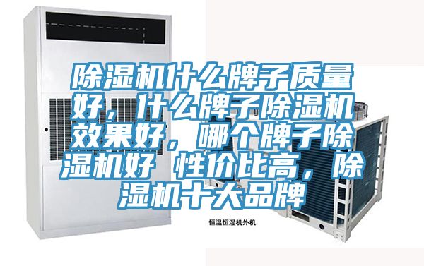 除濕機(jī)什么牌子質(zhì)量好，什么牌子除濕機(jī)效果好，哪個牌子除濕機(jī)好 性價比高，除濕機(jī)十大品牌