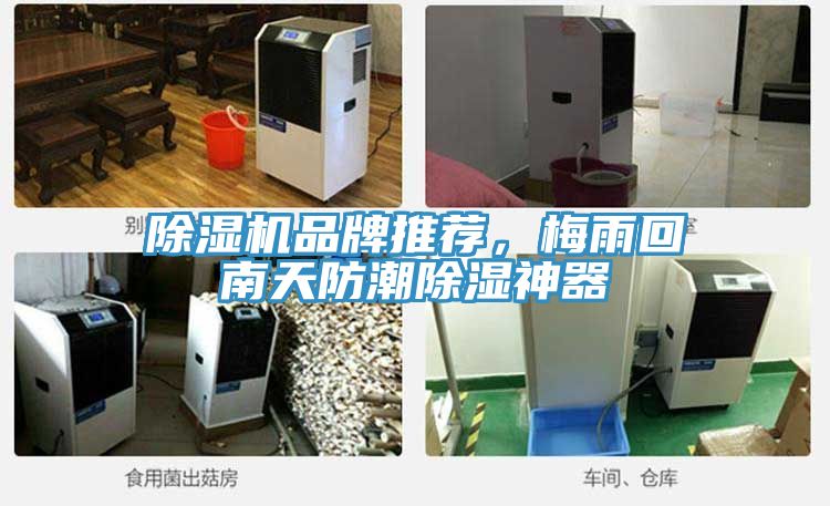 除濕機品牌推薦，梅雨回南天防潮除濕神器