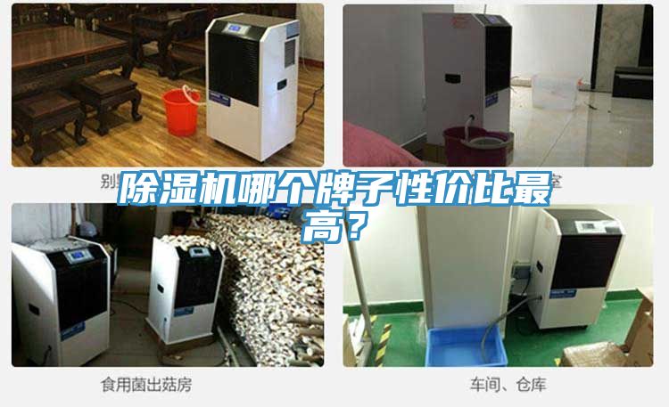 除濕機哪個牌子性價比最高？
