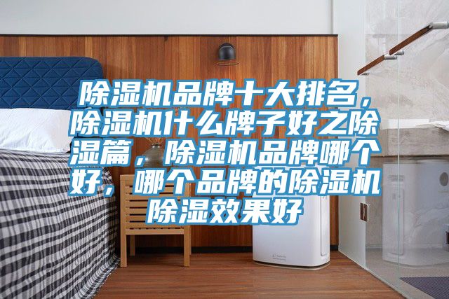 除濕機(jī)品牌十大排名，除濕機(jī)什么牌子好之除濕篇，除濕機(jī)品牌哪個(gè)好，哪個(gè)品牌的除濕機(jī)除濕效果好