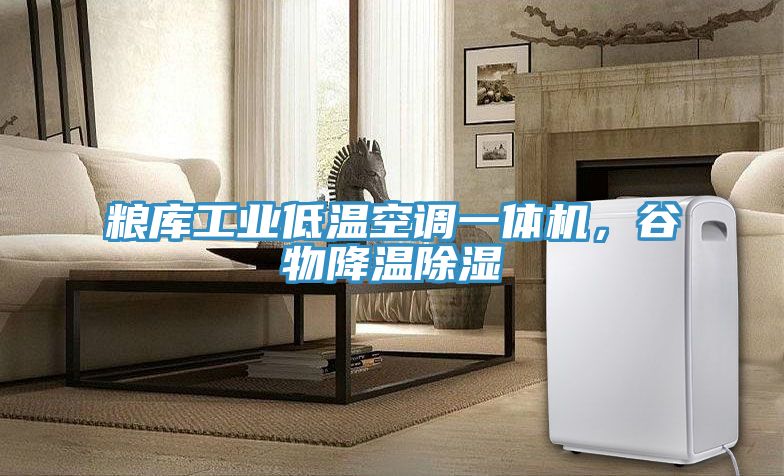 糧庫(kù)工業(yè)低溫空調(diào)一體機(jī)，谷物降溫除濕