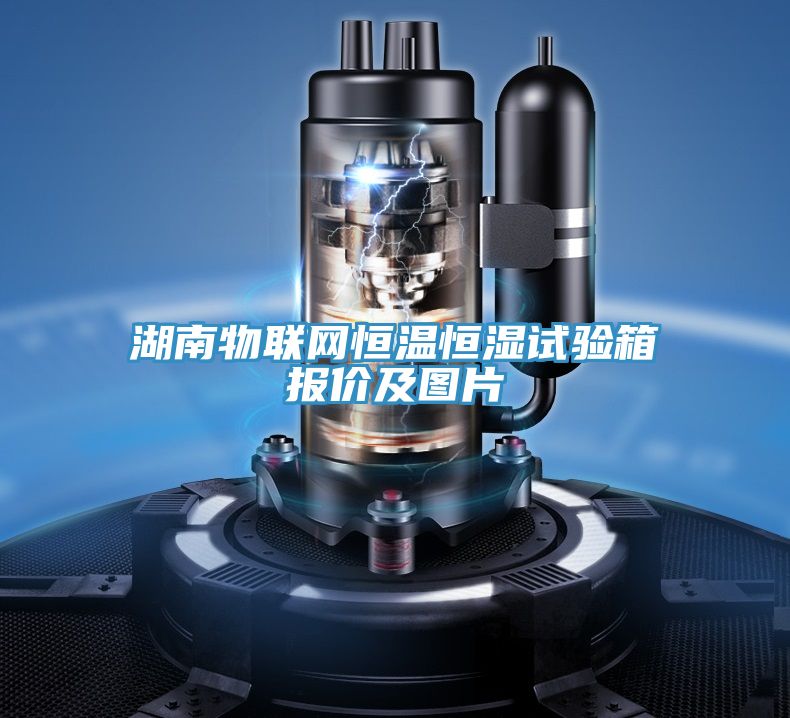 湖南物聯(lián)網(wǎng)恒溫恒濕試驗(yàn)箱報價及圖片