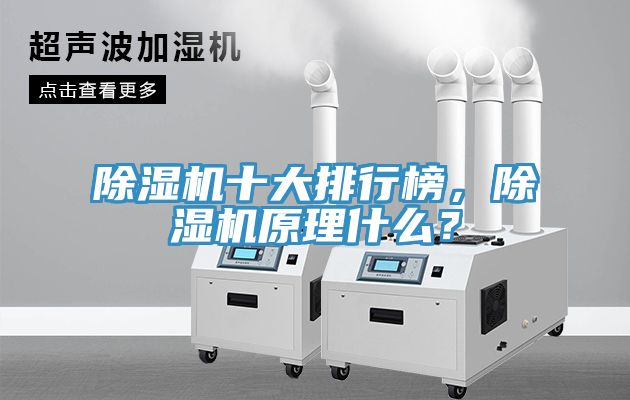 除濕機十大排行榜，除濕機原理什么？
