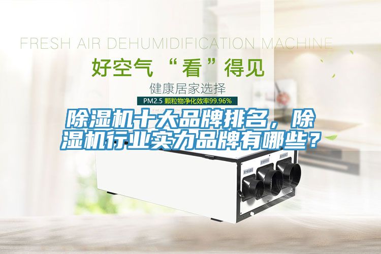 除濕機十大品牌排名，除濕機行業(yè)實力品牌有哪些？