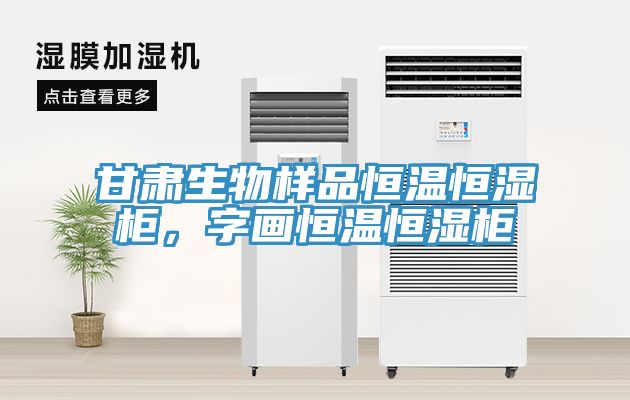 甘肅生物樣品恒溫恒濕柜，字畫恒溫恒濕柜