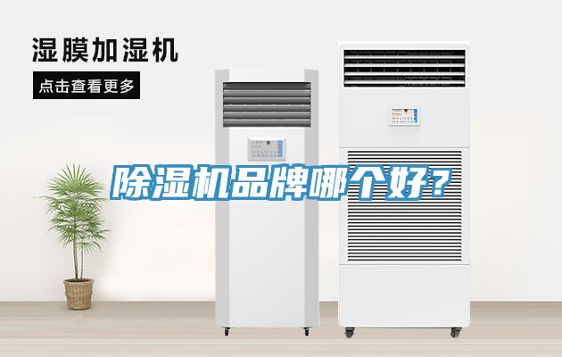 除濕機(jī)品牌哪個好？