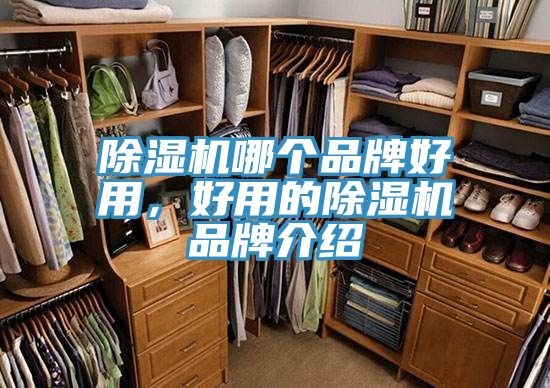 除濕機(jī)哪個(gè)品牌好用，好用的除濕機(jī)品牌介紹