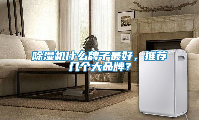 除濕機(jī)什么牌子最好，推薦幾個大品牌？