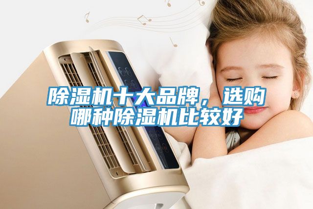 除濕機十大品牌，選購哪種除濕機比較好