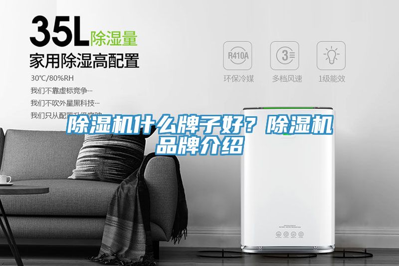 除濕機(jī)什么牌子好？除濕機(jī)品牌介紹
