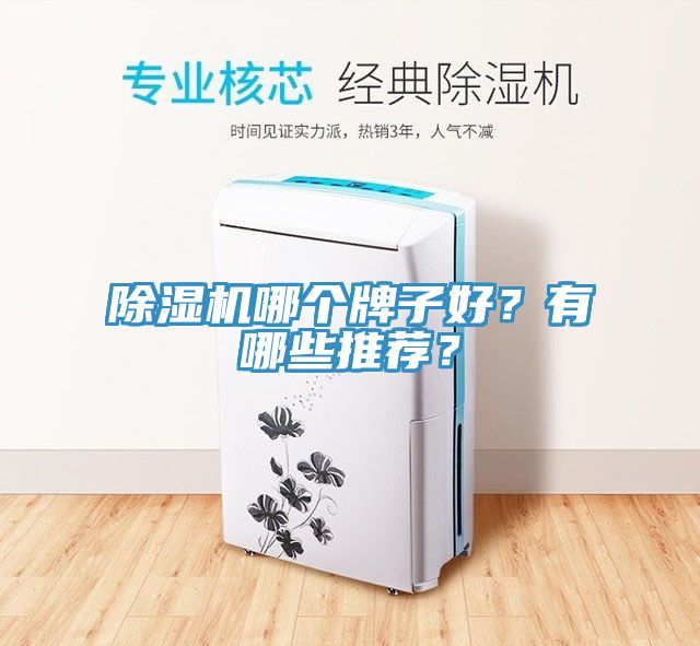除濕機哪個牌子好？有哪些推薦？