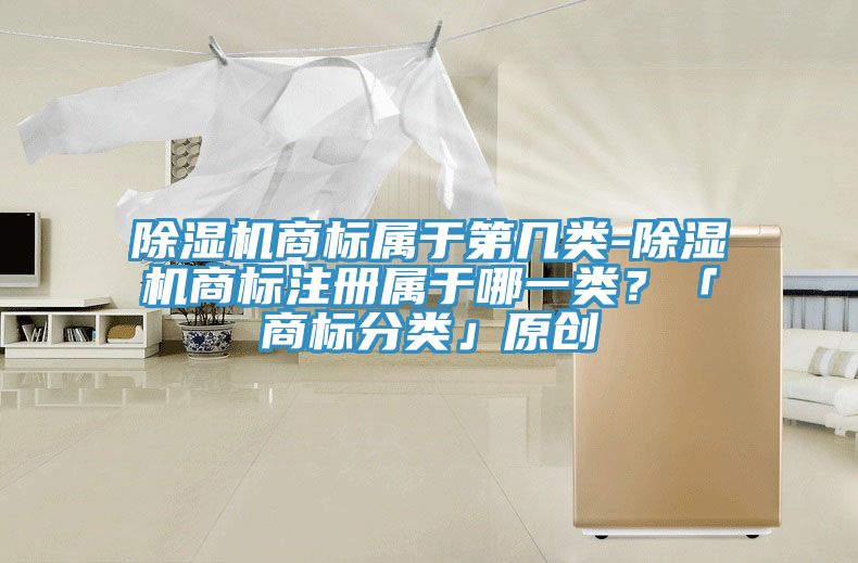 除濕機(jī)商標(biāo)屬于第幾類-除濕機(jī)商標(biāo)注冊(cè)屬于哪一類？「商標(biāo)分類」原創(chuàng)