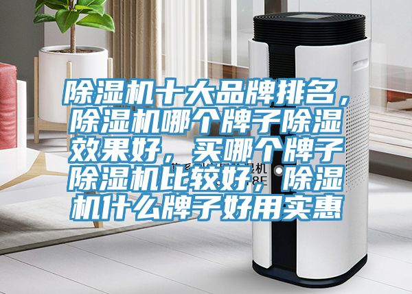 除濕機十大品牌排名，除濕機哪個牌子除濕效果好，買哪個牌子除濕機比較好，除濕機什么牌子好用實惠
