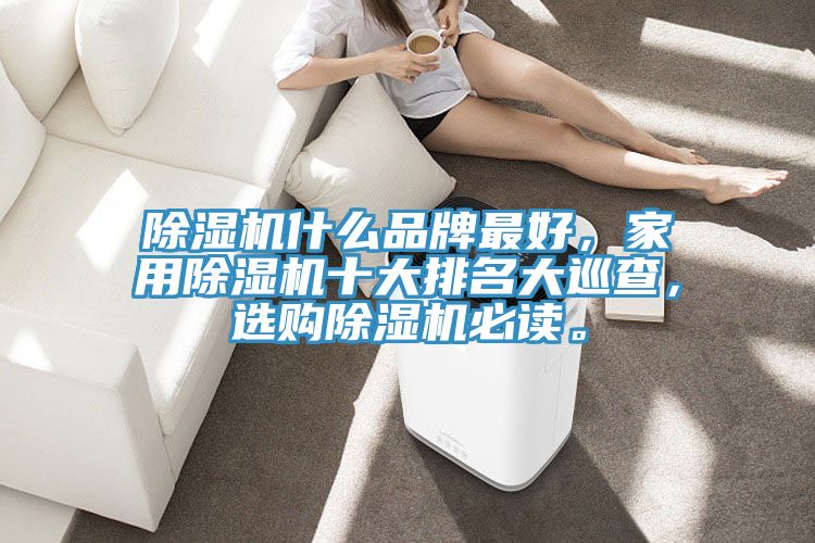 除濕機(jī)什么品牌最好，家用除濕機(jī)十大排名大巡查，選購除濕機(jī)必讀。