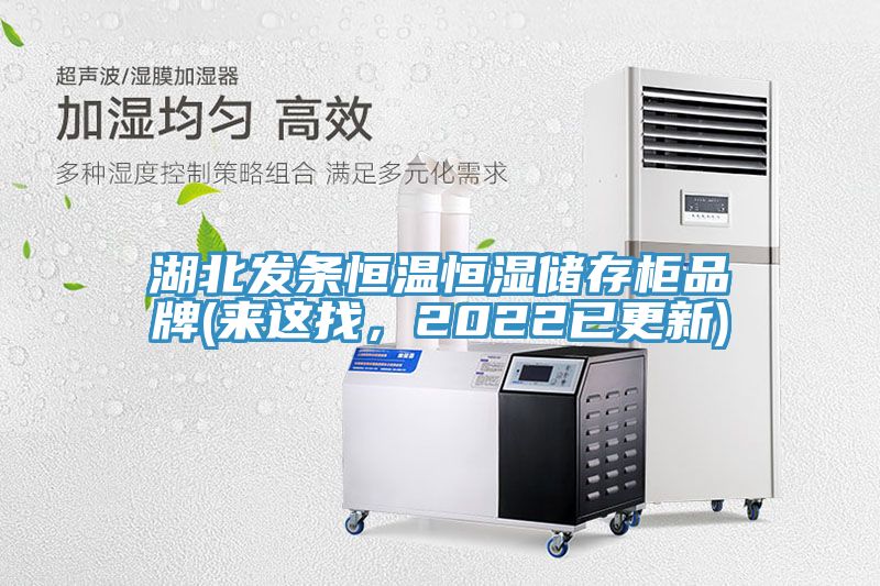 湖北發(fā)條恒溫恒濕儲存柜品牌(來這找，2022已更新)