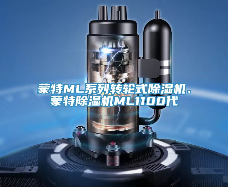 蒙特ML系列轉(zhuǎn)輪式除濕機(jī)、蒙特除濕機(jī)ML1100代