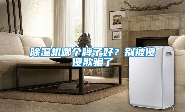 除濕機哪個牌子好？別被傻傻欺騙了